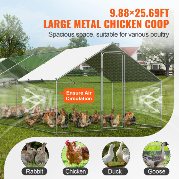 Suur Metallist Kanakuut Aedik Walk-in Tüüp | 3x2x2 m | Tugev Galvaniseeritud Konstruktsioon + Veekindel PE Kate - Image 3