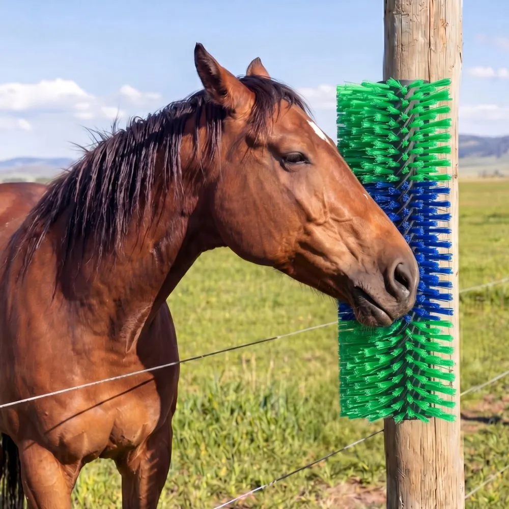 Kariloomade sügamisvahend (430 x 190 mm, PBT ja PP plastik, roheline ja sinine) – toote pilt 7