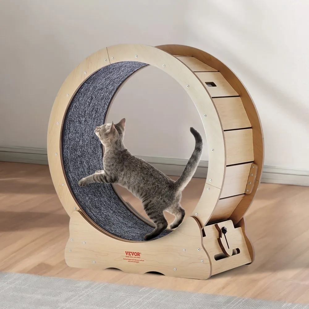 Kassi treeningratas (75 cm, puit, eemaldatav vaip) – toote pilt 7