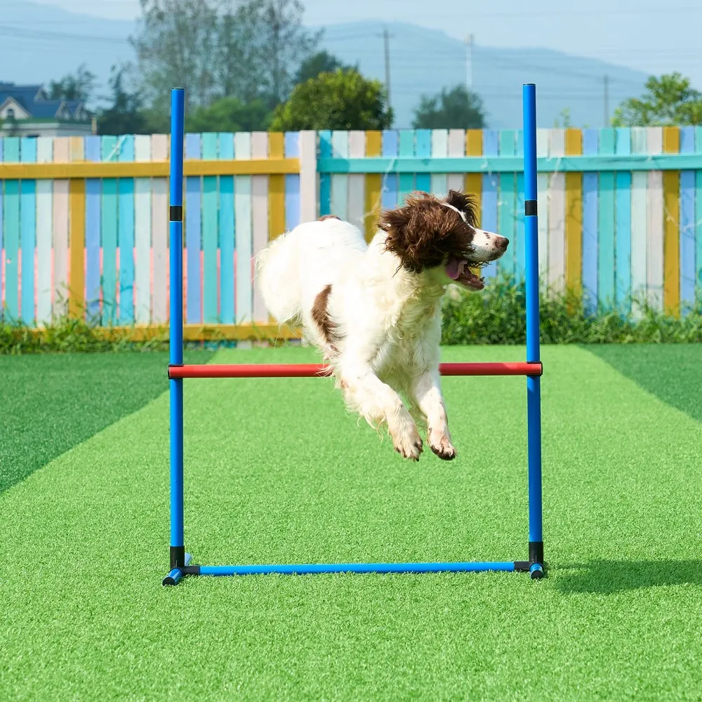 Koerte agility treeningkomplekt (4-osaline, reguleeritavad tõkked, PVC) – toote pilt 7