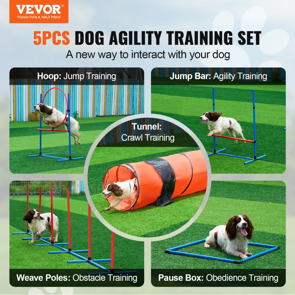 Koerte agility treeningkomplekt (5 osa, reguleeritavad tõkked, 3 m tunnel) – toote pilt 1