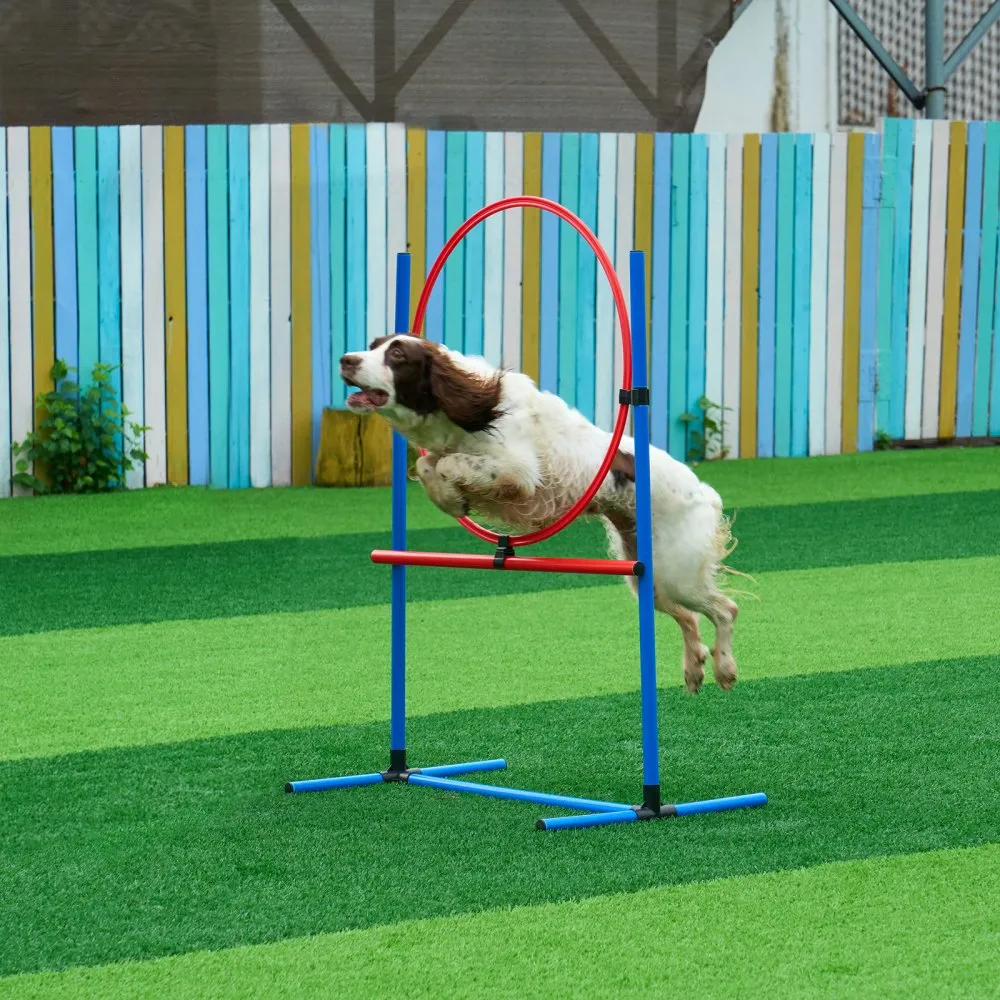 Koerte agility treeningkomplekt (5 osa, reguleeritavad tõkked, 3 m tunnel) – toote pilt 7