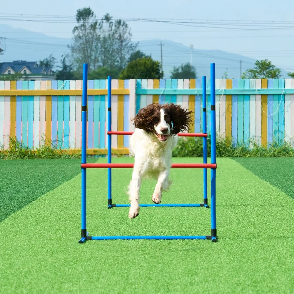 Koerte agility treeningkomplekt (7 osa, 2 tunnelit, reguleeritavad tõkked) – toote pilt 7