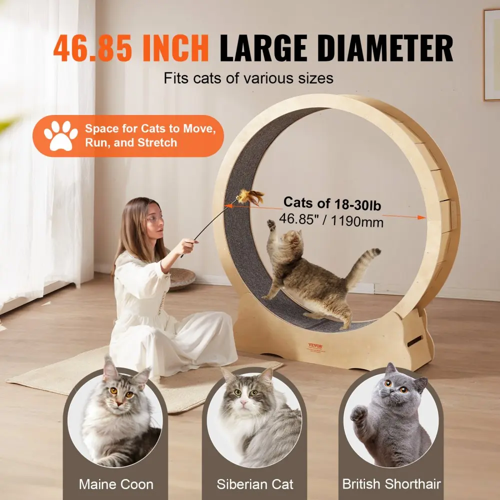 Suur Kasside Jooksuratas, Sise-Kasside Treeningratas, 132 Cm, Eemaldatav Vaip – toote pilt 3