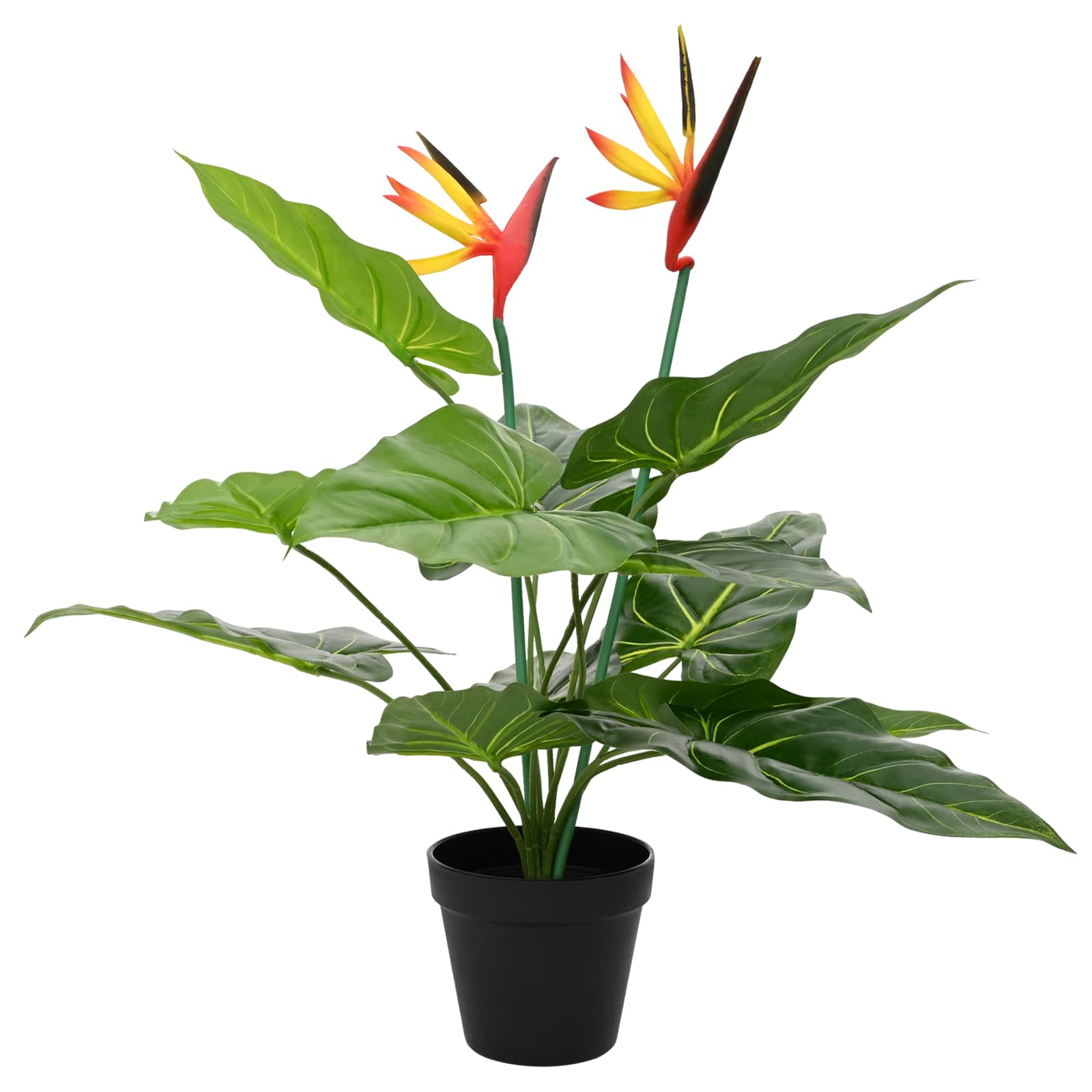 Kunstlik Strelitzia Taim Roheline 65 x 13 x 55 Cm – toote pilt 1