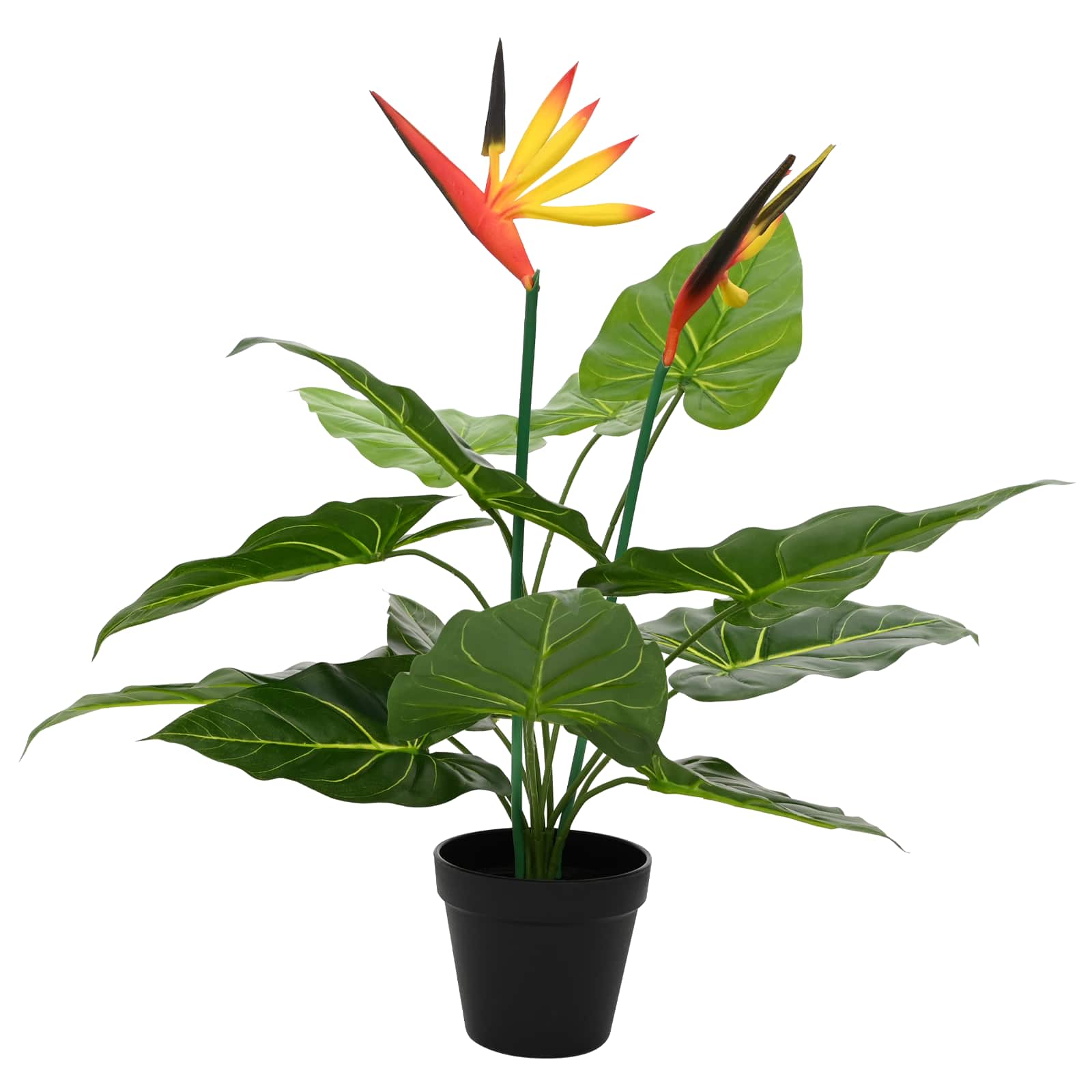 Kunstlik Strelitzia Taim Roheline 65 x 13 x 55 Cm – toote pilt 2