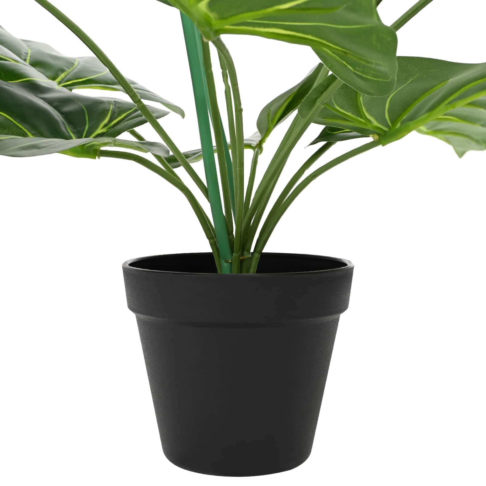 Kunstlik Strelitzia Taim Roheline 65 x 13 x 55 Cm – toote pilt 3