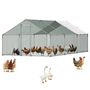 metallist kanakuut turvaline lukustus – Metallist Kanakuut (3 x 6 x 2 m, Turvaline Lukustus, Spiraalne Katus)
