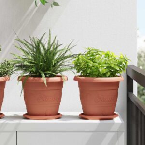 Taimepotid 6 tk Kohviroosa Ø 22 x 18 cm Plastmass