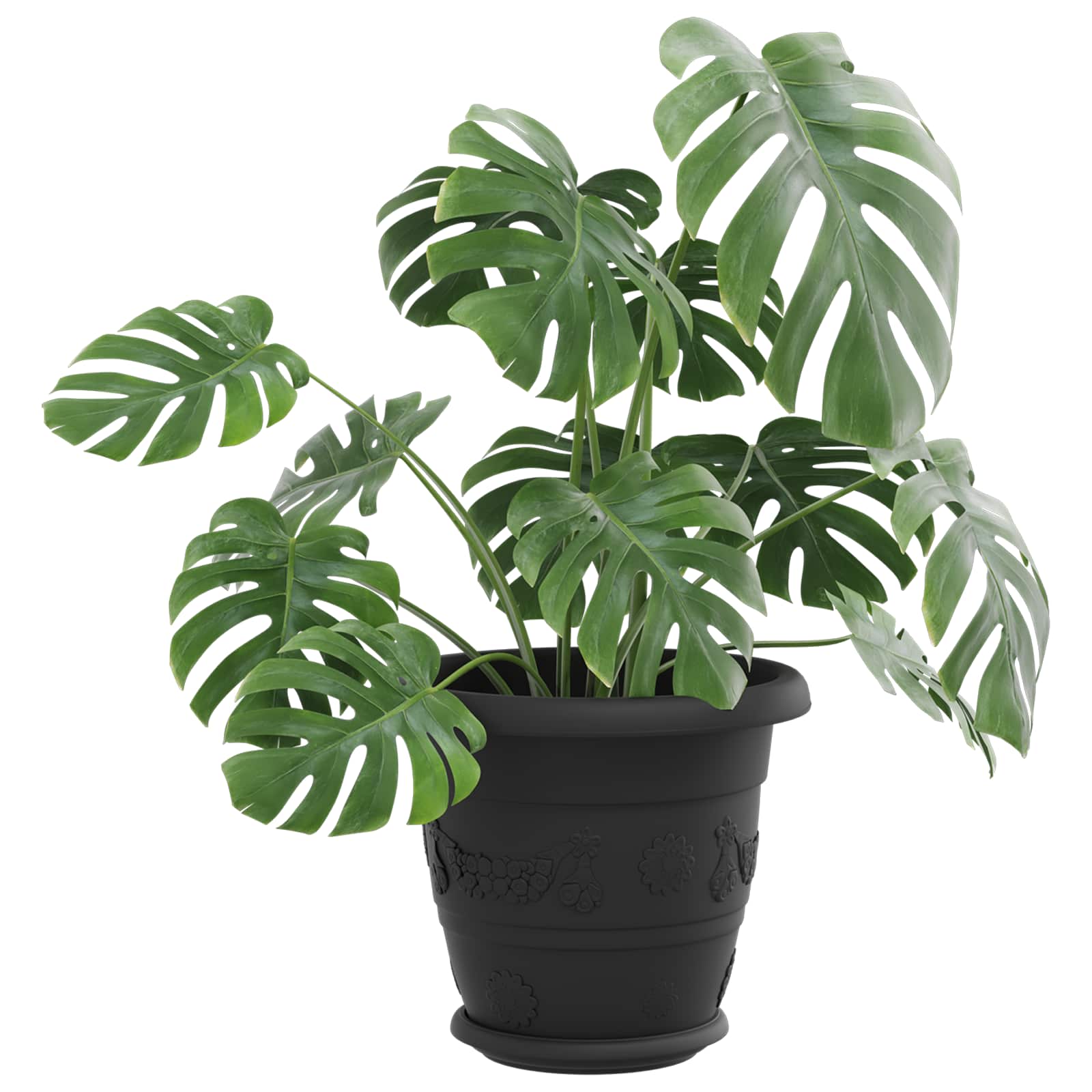 Taimepotid 6 tk Must Ø 22 x 18 cm Plastmass – toote pilt 2