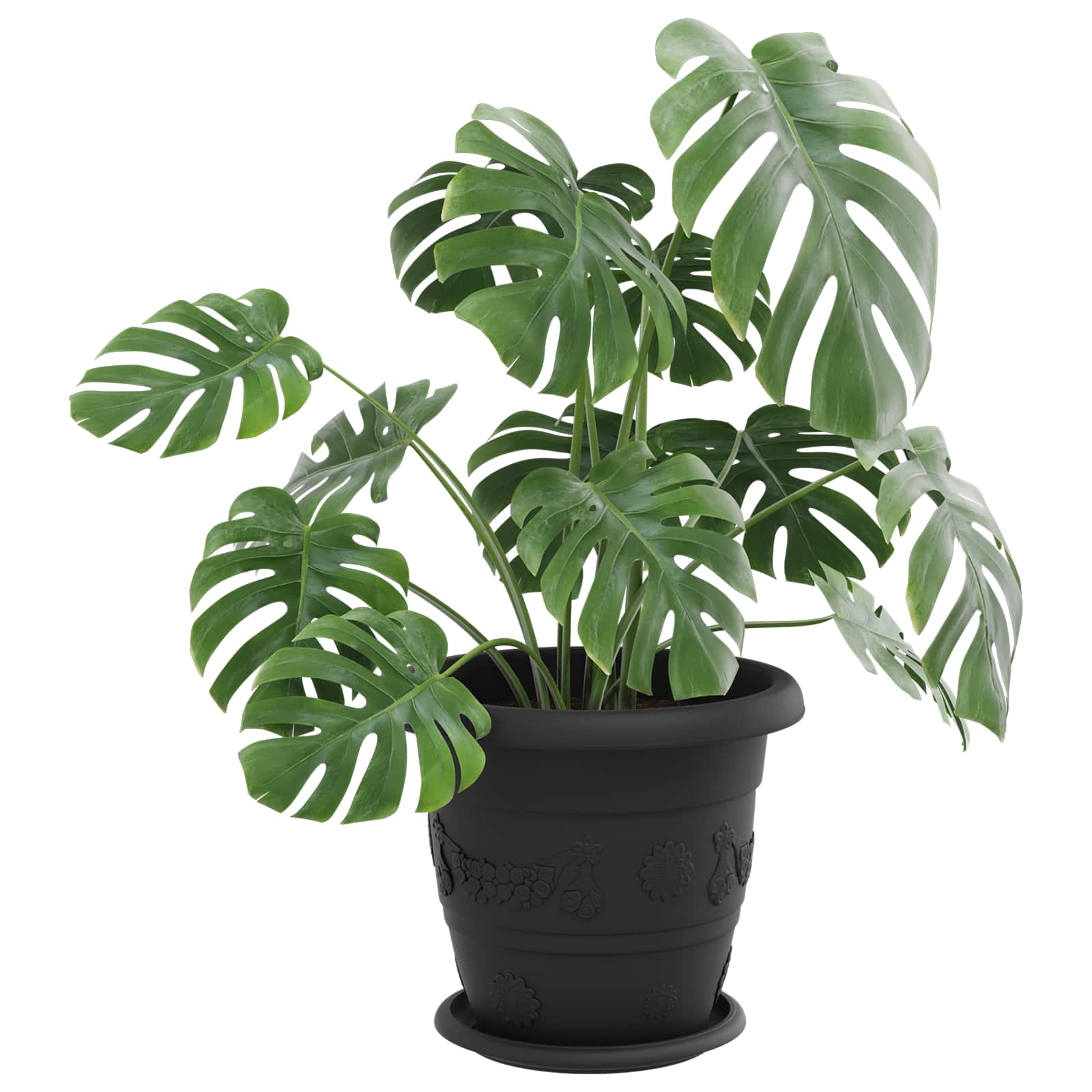 Taimepotid 6 tk Must Ø 26 x 21.5 cm Plastmass – toote pilt 2