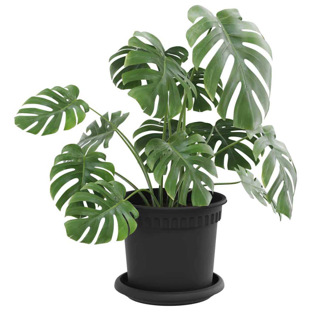Taimepotid 6 tk Must Plastmass – toote pilt 2