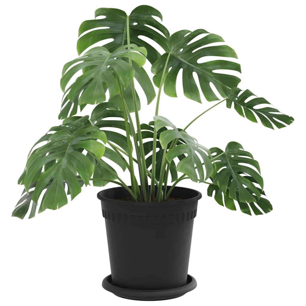 Taimepotid 6 tk Must Plastmass – toote pilt 2