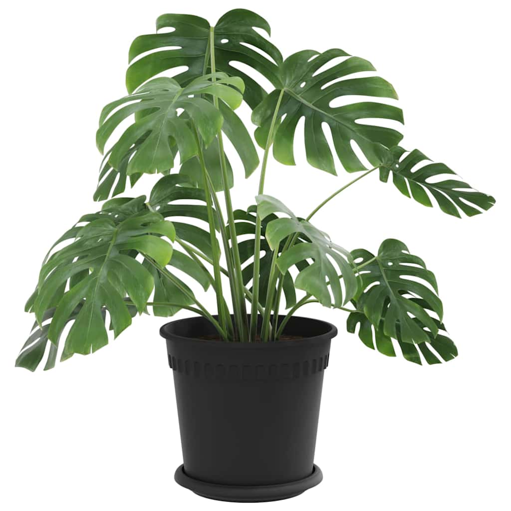 Taimepotid 6 tk Must Plastmass – toote pilt 2