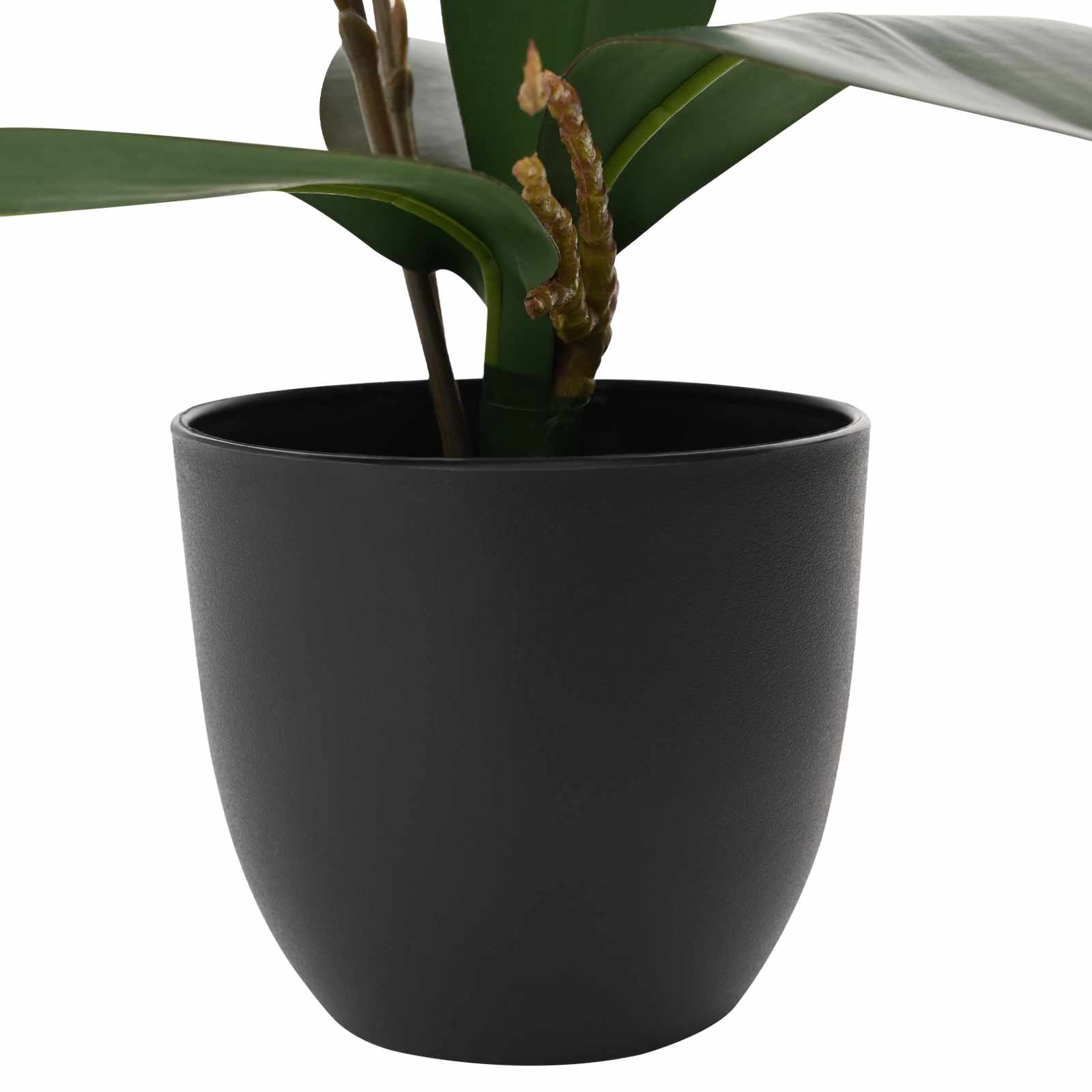 Tehisorhidee Taim Roosa 36 x 10 x 30 cm Kangas, PE Ja PEVA – toote pilt 2
