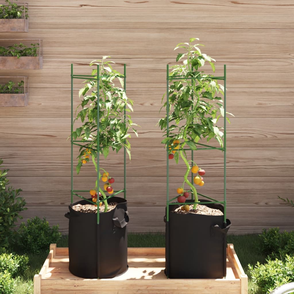 tomatitaime tugi koos taimekotiga 2 tk, 116 cm, teras ja PP – toote pilt 2